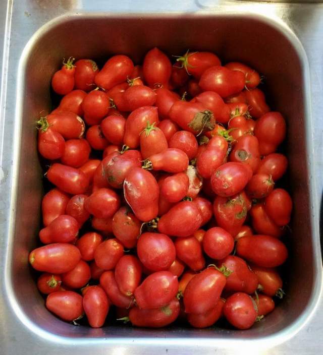 FB_IMG_1451791917806